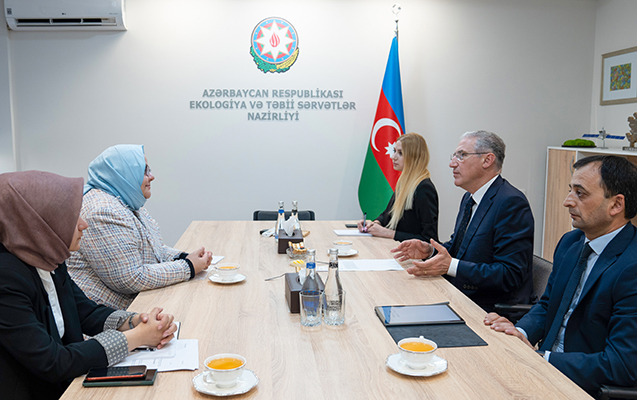 COP29-a hazırlıqla bağlı fikir mübadiləsi aparıldı