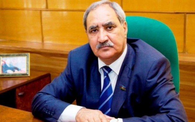 "Dövlətimizin gücü təbii fəlakətin yaratdığı problemləri aradan qaldıracaq" - Fəzail Ağamalı