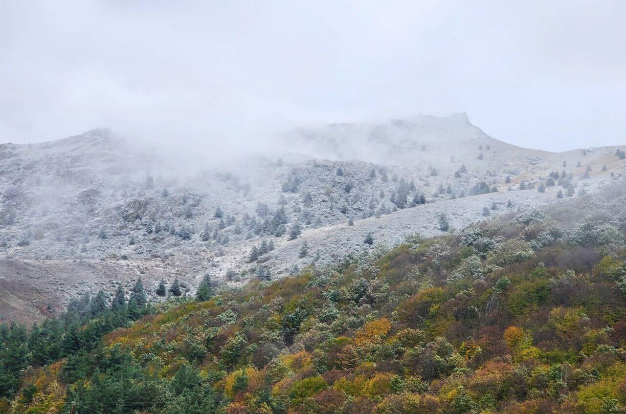 
Laçın ağ örpəyə büründü -FOTOLAR