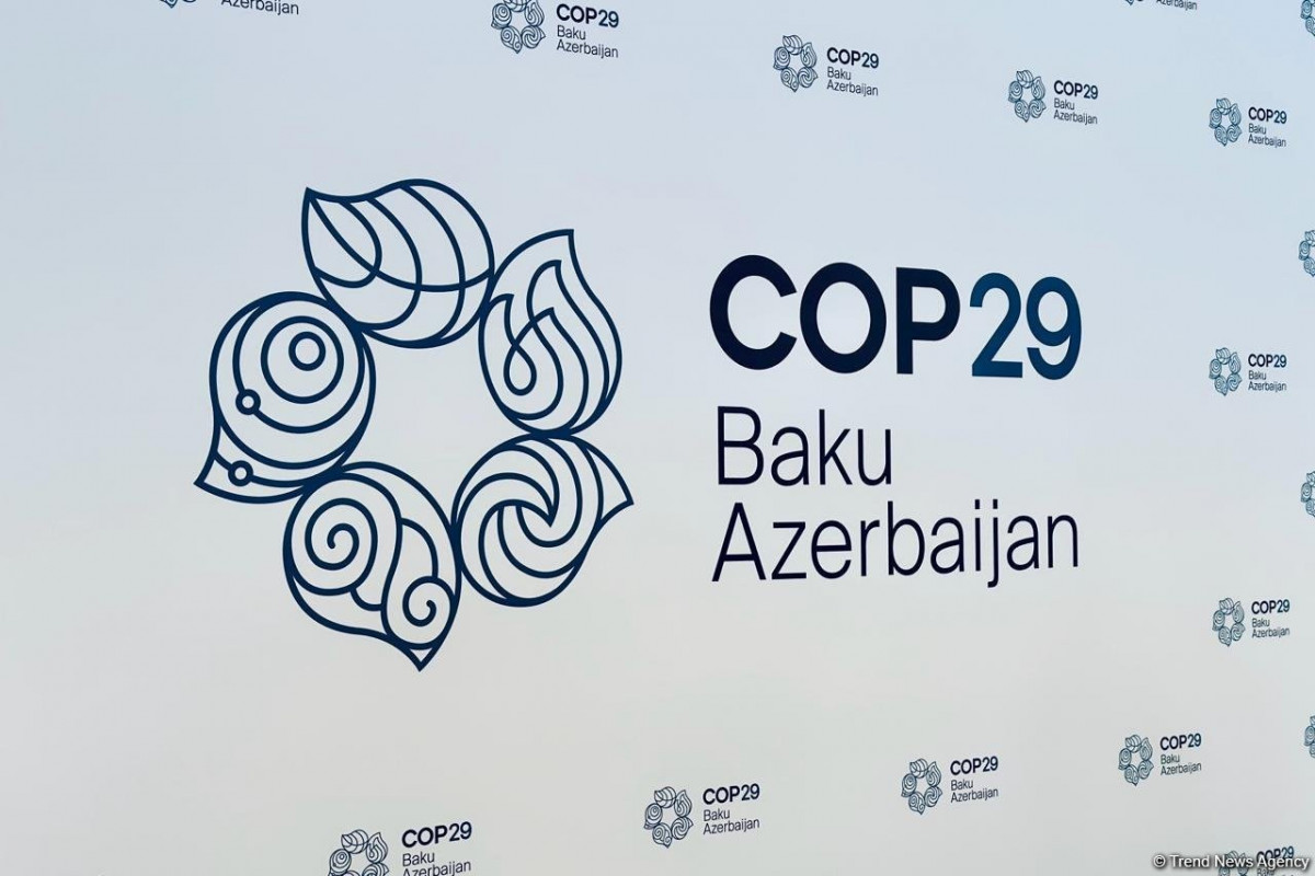 COP29 Könüllülük Proqramının hazırlıq mərhələsi başa çatdı