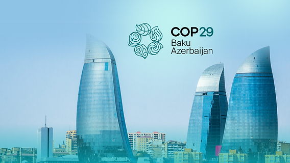 COP29 dizayn və brendinqini həyata keçirən Azərbaycanlılar kimdir? - VİDEO