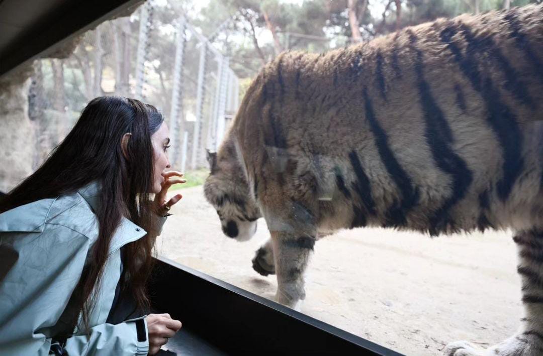 Leyla Əliyeva Bakı zooparkından paylaşım etdi - FOTOLAR