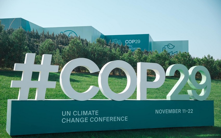 COP29 ərəfəsində Azərbaycana qarşı təbliğat aparacaq veb-səhifələr yaradılıb - HESABAT