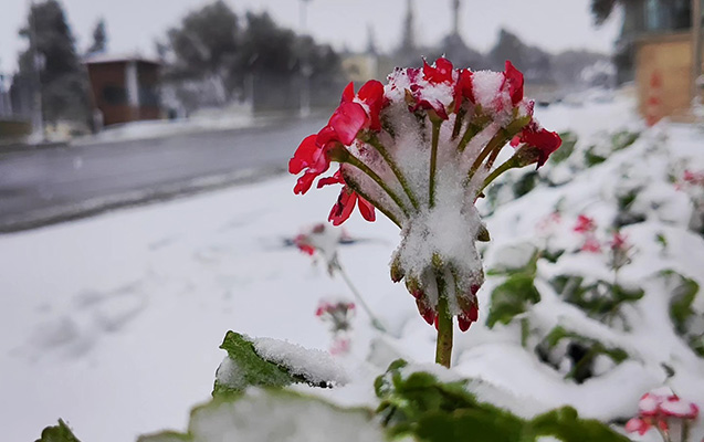 Yanvar ayının hava proqnozu