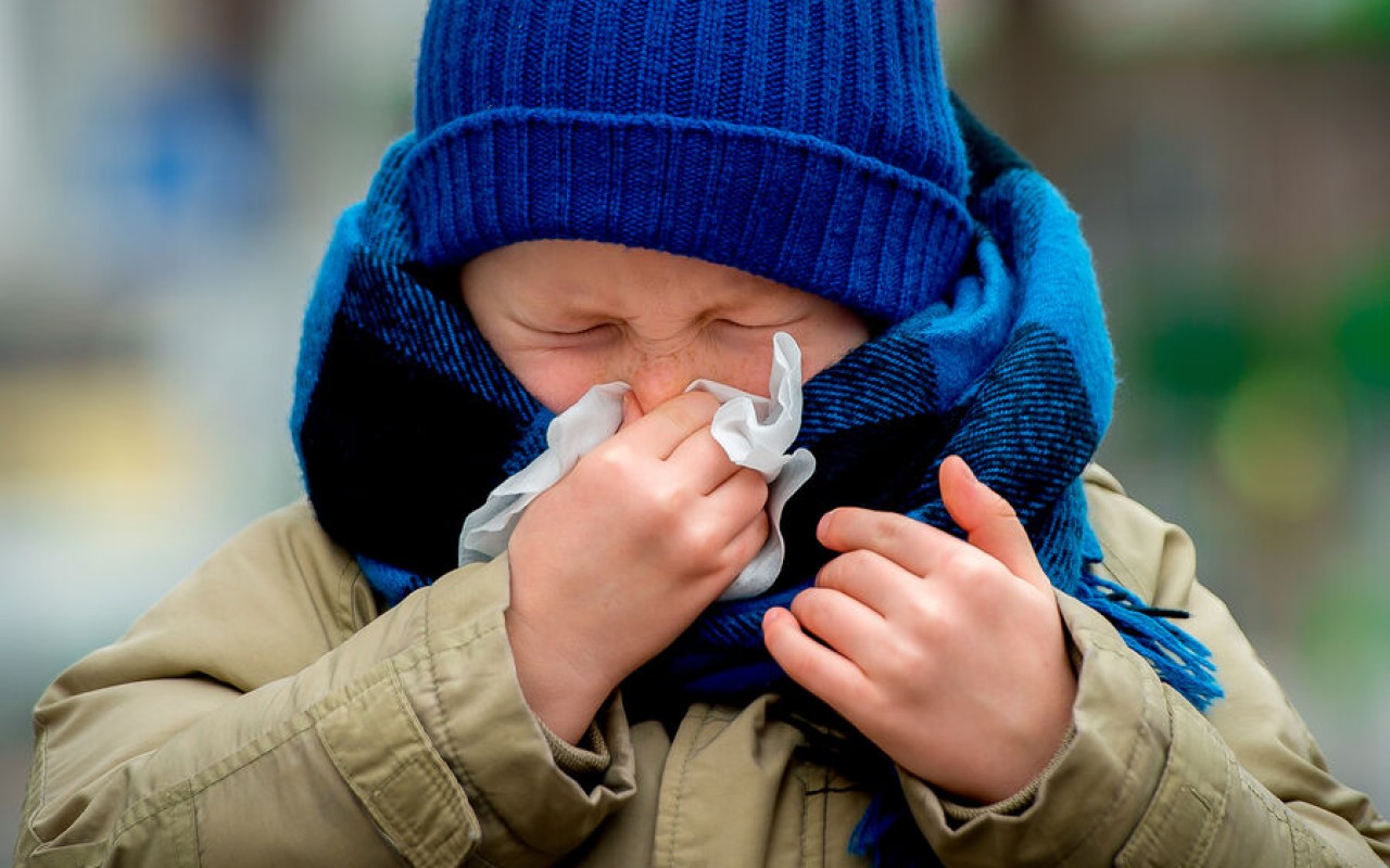 Bu ölkələrdə metapnevmovirus aşkarlandı