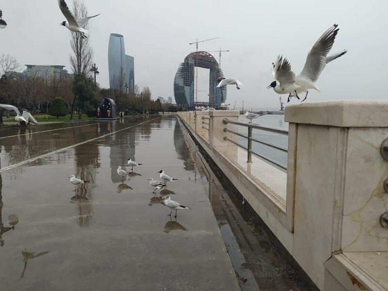 Bakıda yağış yağacaq, güclü külək əsəcək