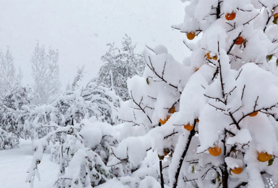 Temperatur normadan 7.5 dərəcə aşağıdır