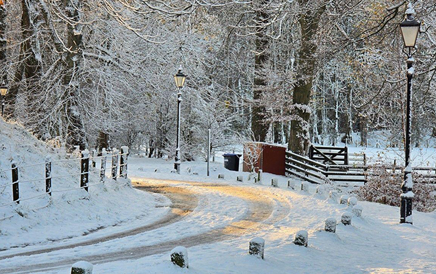 Şaxta var, yağıntı kəsilib - Faktiki HAVA