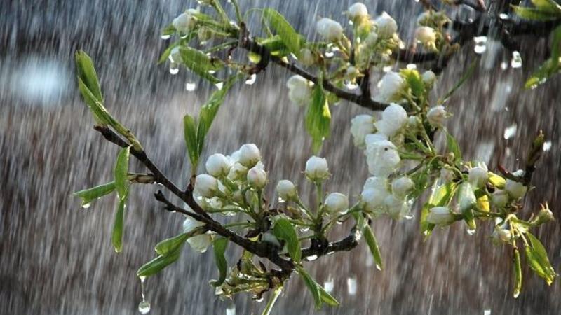 
Sabahın hava proqnozu açıqlandı