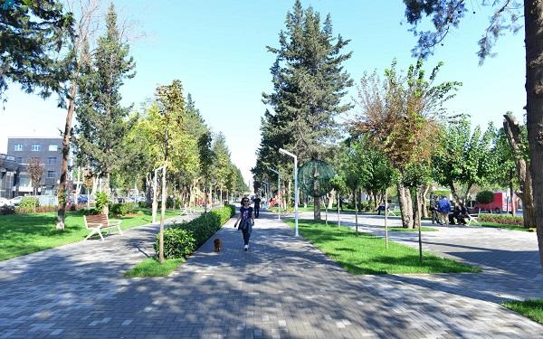 Gəncədə qadın parkda öldü