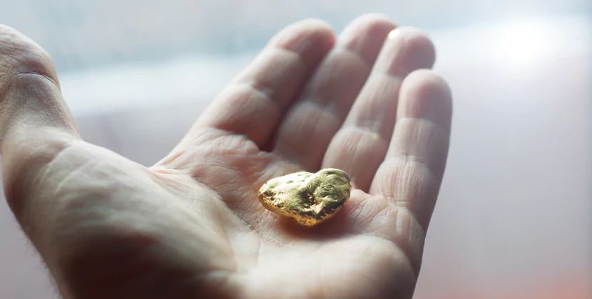 Bağında qazıntı apararkən 150 ton qızıl tapdı, amma heç nəsiz qaldı