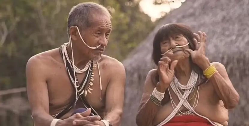 Braziliyanın yerli qəbiləsi qlobal medianı pornoya görə məhkəməyə verir
