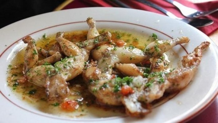 Restoranlar nə üçün qurbağa əti təklif edir? - AÇIQLAMA
