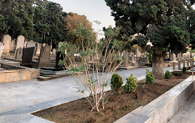 Qəbiristanlıqda 14 yaşlı qıza əxlaqsızlıq edənə- 4 il 3 ay həbs!