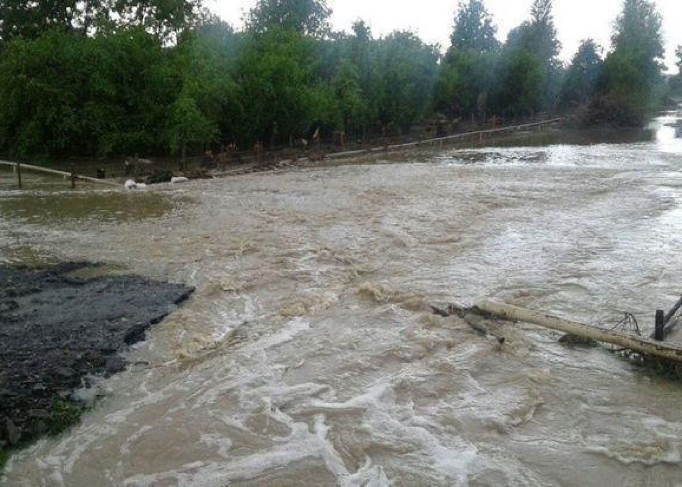 Naxçıvanda sel evlərə ziyan vurdu