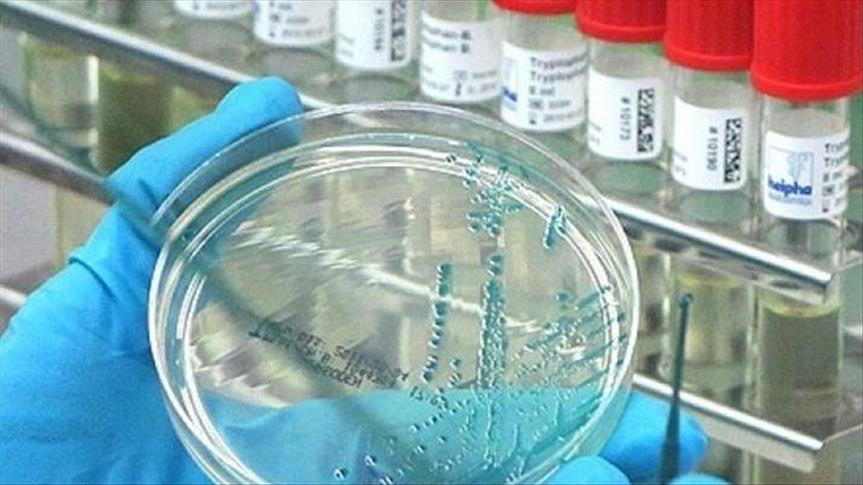 Alimlər təhlükəli virus tapdılar: Pandemiya olacaqmı?