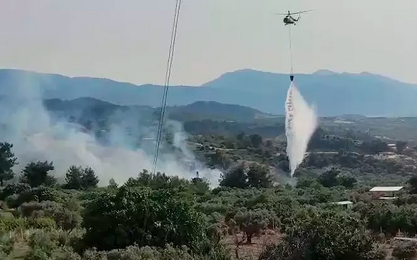 Türkiyədə 300 hektar ərazi yandı