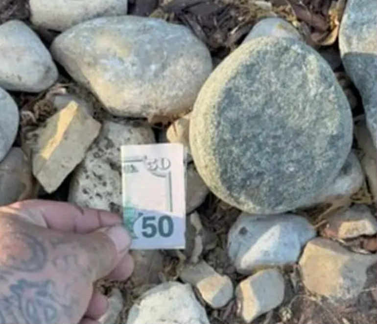 Pulu şəhərin müxtəlif yerlərində gizlədir: Kimdir və bunu niyə edir? - FOTO