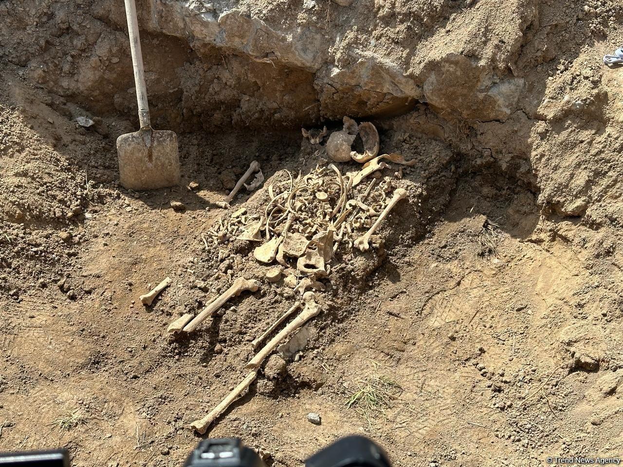 Qubadlıda skelet fraqmentləri aşkarlanıb