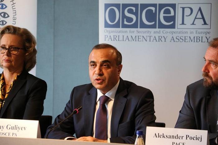 Azay Quliyev ATƏT PA-nın komitə sədri seçildi