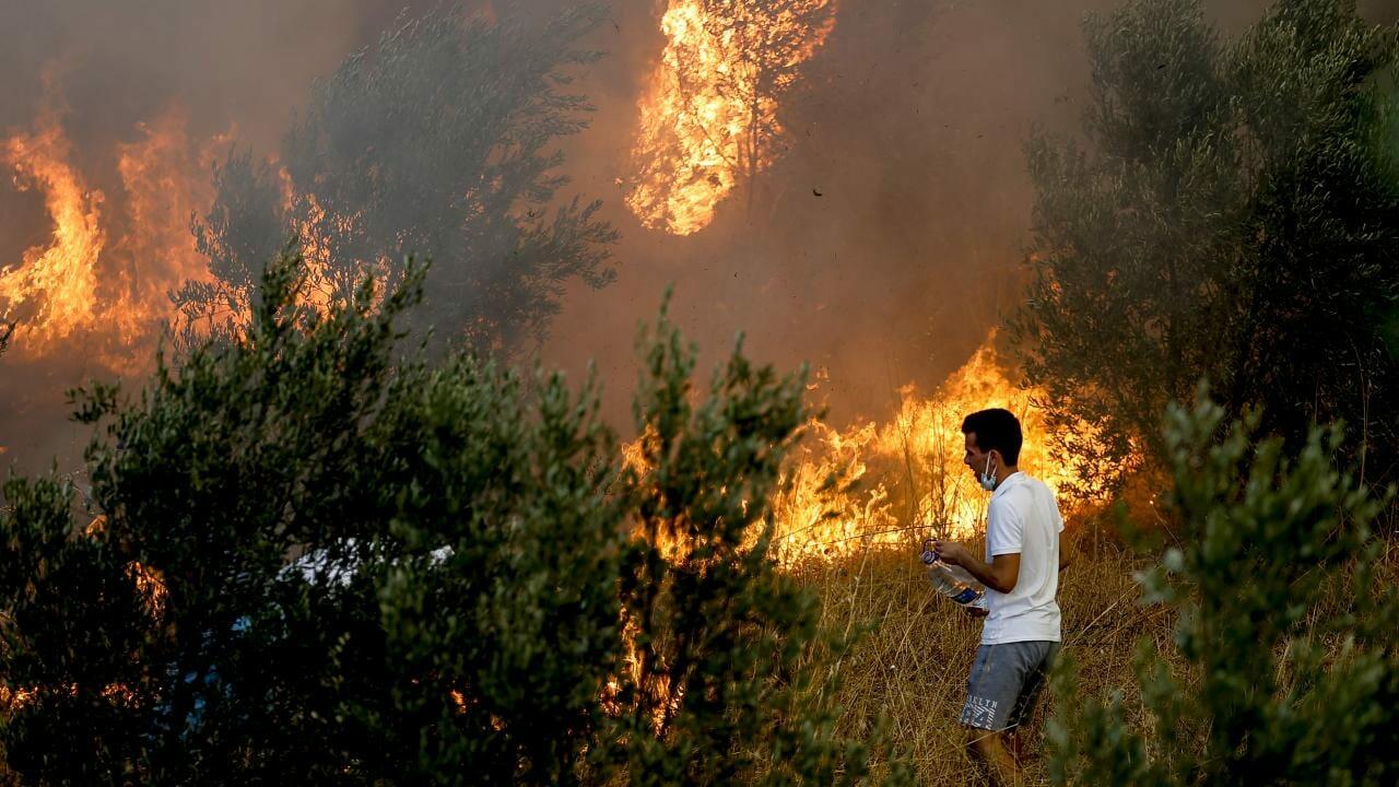 
Meşə yanğınları İzmirdə yaşayış məntəqələrinə çatdı