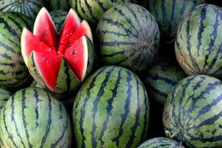 Qarpızlara bu dərmanlar vurulur, xərçəngə yoluxma riski var - XƏBƏRDARLIQ