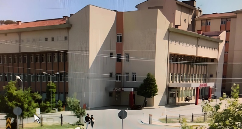 Türkiyədə kağız fabrikində 50-yə yaxın işçi zəhərləndi