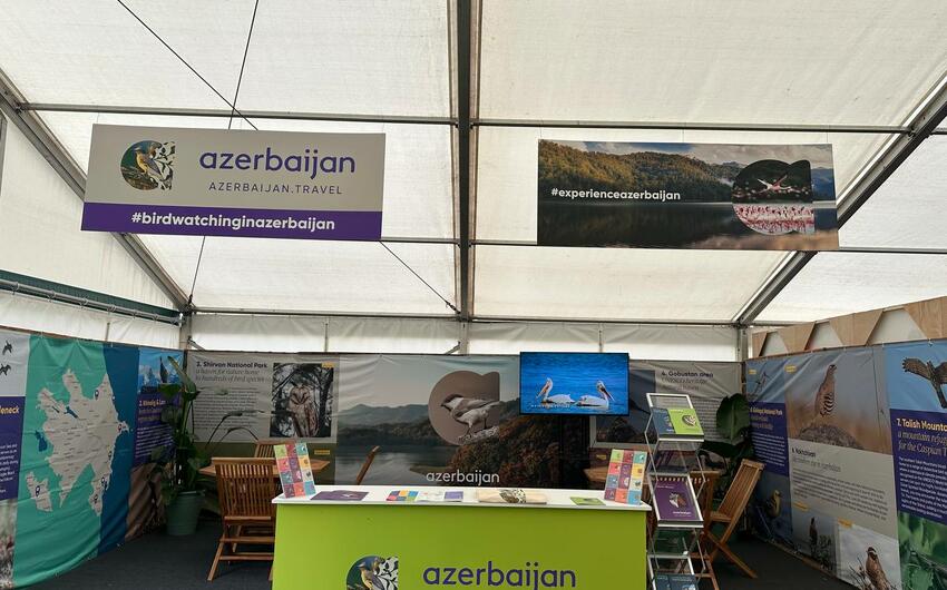Azərbaycanın ornitoloji turizm imkanları Birləşmiş Krallıqda təqdim olundu