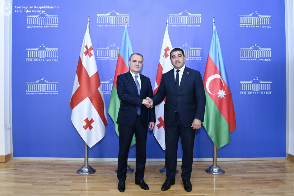 Ceyhun Bayramov Gürcüstan Parlamentinin sədri ilə görüşdü - FOTO