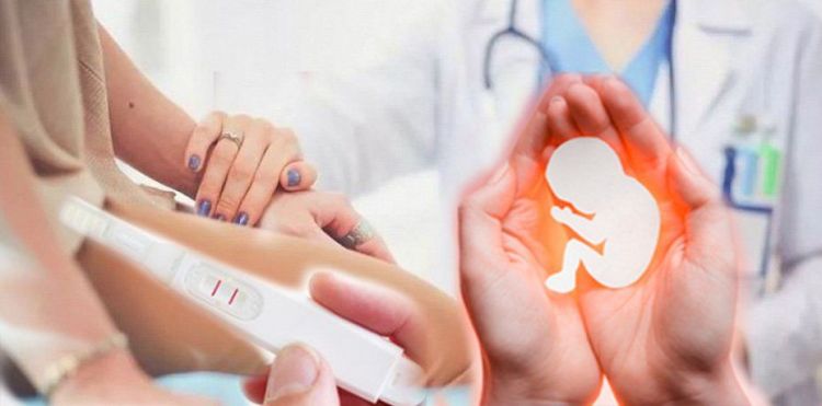 Azərbaycanda follikul donorluğu: Nəzarətsizlik ciddi təhlükə yaradır