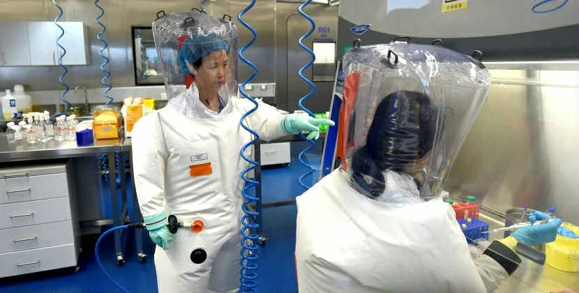 Ən böyük epidemiya: Çini çikunqunya virusunun rekord dalğası vurdu