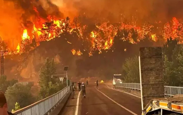 
10 meşə işçisinin həlak olduğu yanğın nəzarətə götürüldü