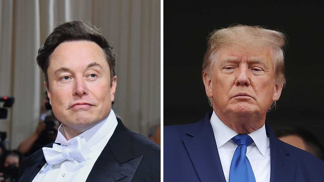 Mask Trampa 15 milyon dollarlıq dəstək verib