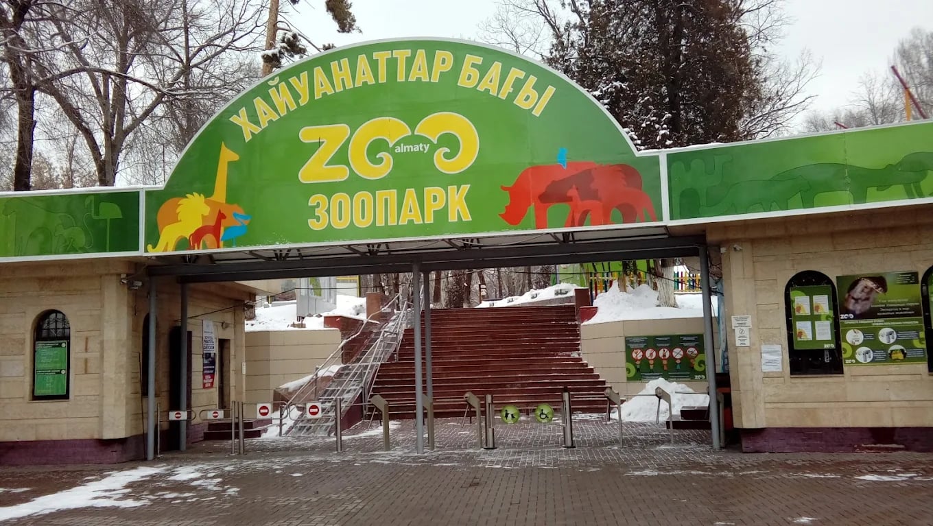 Qazaxıstanda heyvanların qorunduğu dünya – Almatı Zooparkından FOTOREPORTAJ