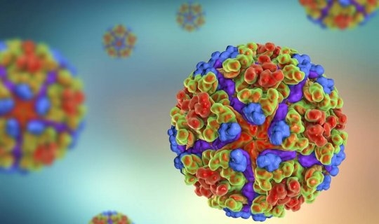 
Çində çikunqunya virusuna yoluxanların sayı 7000-i keçdi